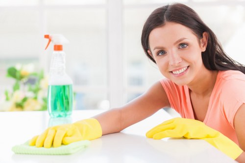 Professional oven cleaning service in a Richmond Upon Thames kitchen
