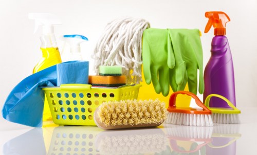 Professional cleaner working in a Richmond upon Thames home