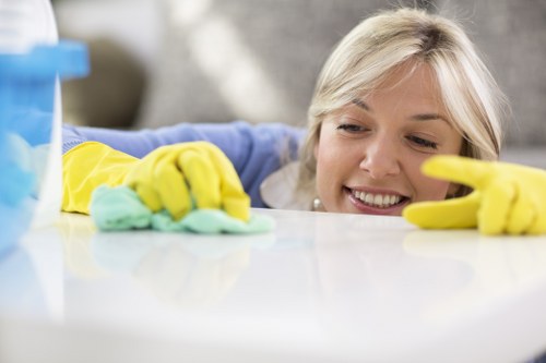 Deep cleaning and dust removal for area rugs and runners