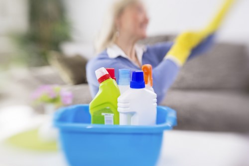 Cleaning appointment confirmation and service details