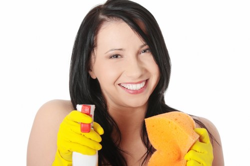 Local Richmond Upon Thames cleaning service with attention to detail