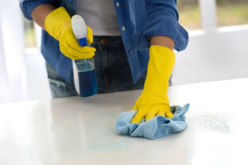 Upholstery cleaning equipment used in a Richmond Upon Thames property