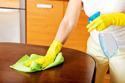Odour removal service for an upholstered sofa affected by pet accidents